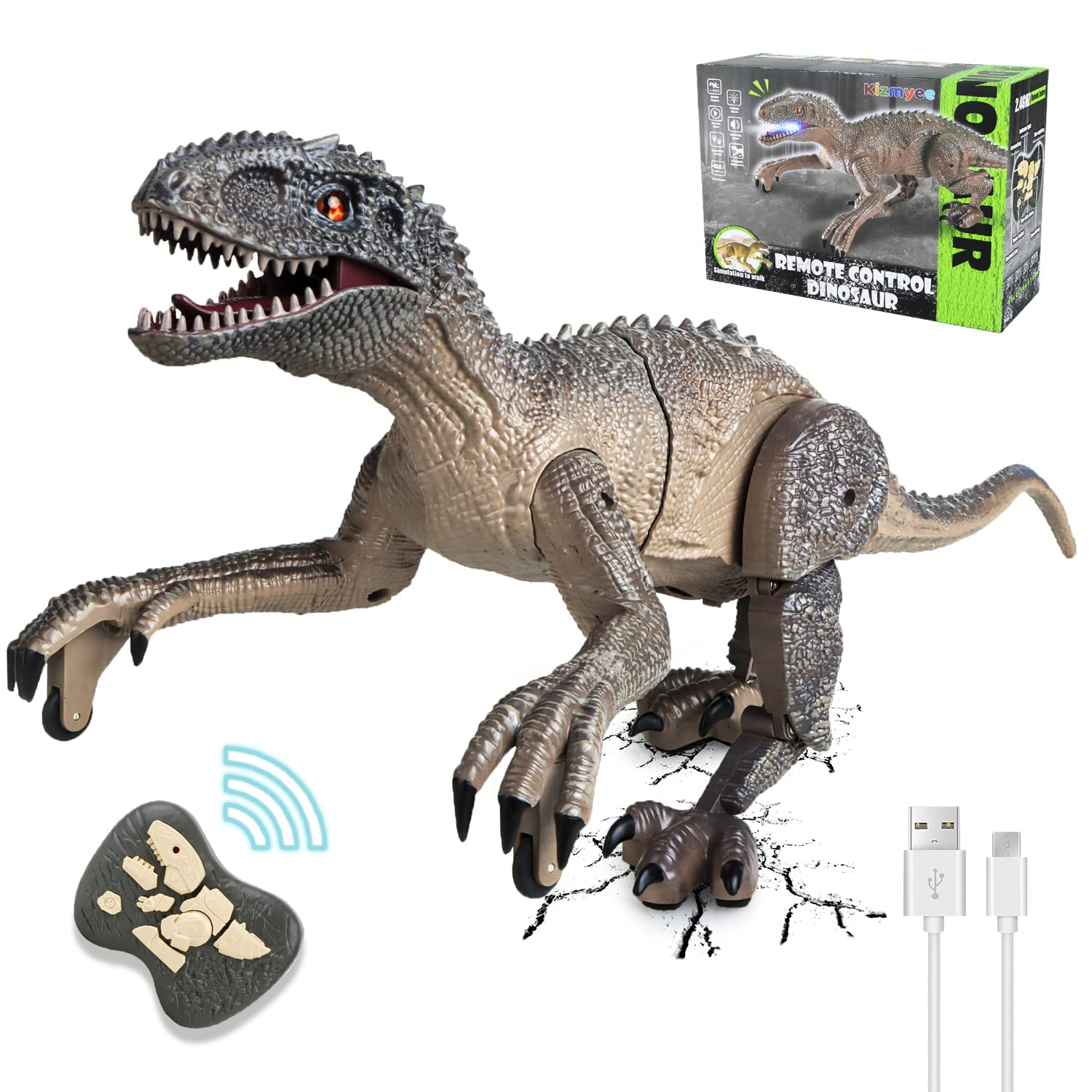 Dinosaure Télécommandé Vélociraptor Réaliste pour Enfants avec Marche, Rugissement, Yeux Brillants et Tête Secouante